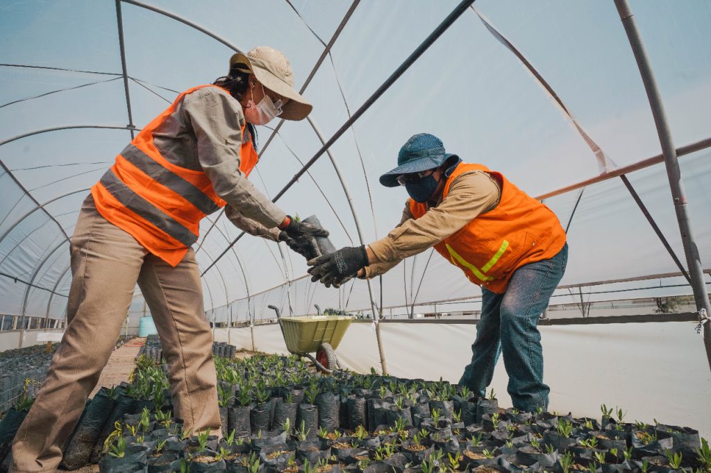 Trabajadores de MARA